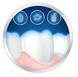 enamel