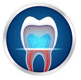 tooth-3